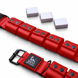 Red dog collar with black buckle and 'BESTIA DOG SPORT' branding on a white background.