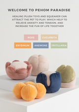 Healing plush toys with different colors on a white surface, accompanied by text about their benefits.