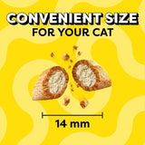 Jumbo Stuffed Cat Treats, Crunchy and Soft Cat Treats, Tasty Chicken Flavor, 2.5 Oz. Pouch (Pack of 12)