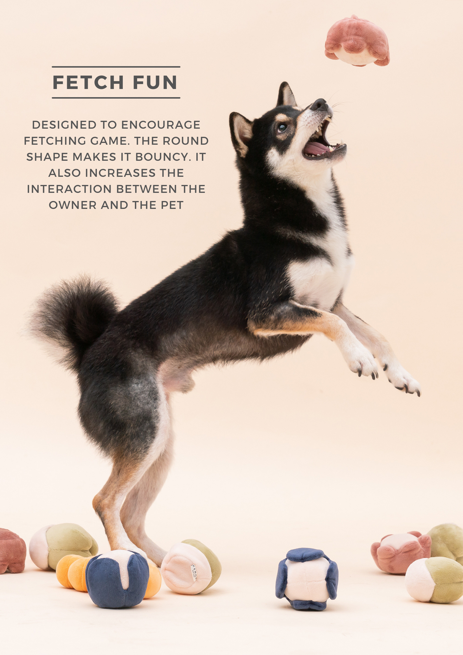 Dog playing with colorful balls on a beige background