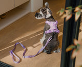 PADDED  ACTIVE  PET LEASH  - MINT GREEN