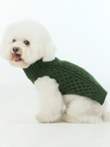 White dog wearing a green sweater on a white background