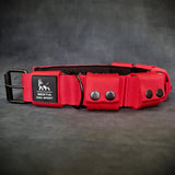 Red dog collar with black buckle and visible brand logo on a dark gray background