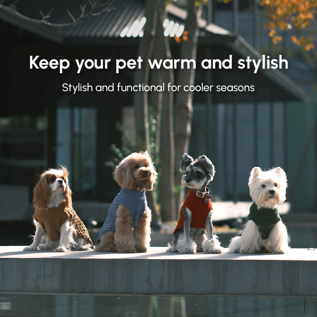 Four dogs wearing sweaters with text promoting warmth and style for pets.