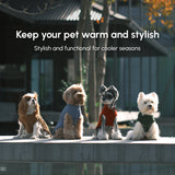 Four dogs wearing sweaters with text promoting warmth and style for pets.