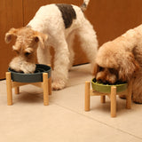 Wave Slow Feeder Bowl