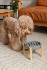 Slow Feeder Dog Bowl