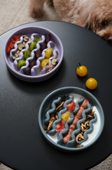 Slow Feeder Dog Bowl