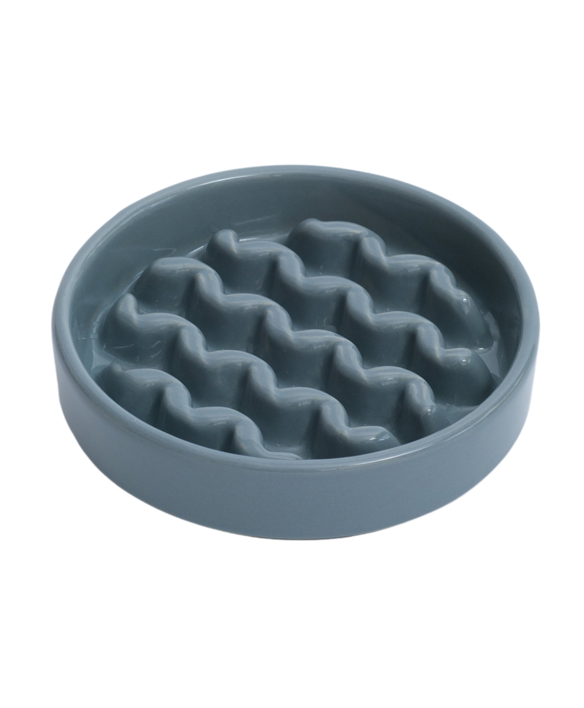 Blue textured pet bowl on a white background
