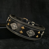 Black leather dog collar with gold and silver studs on a dark background
