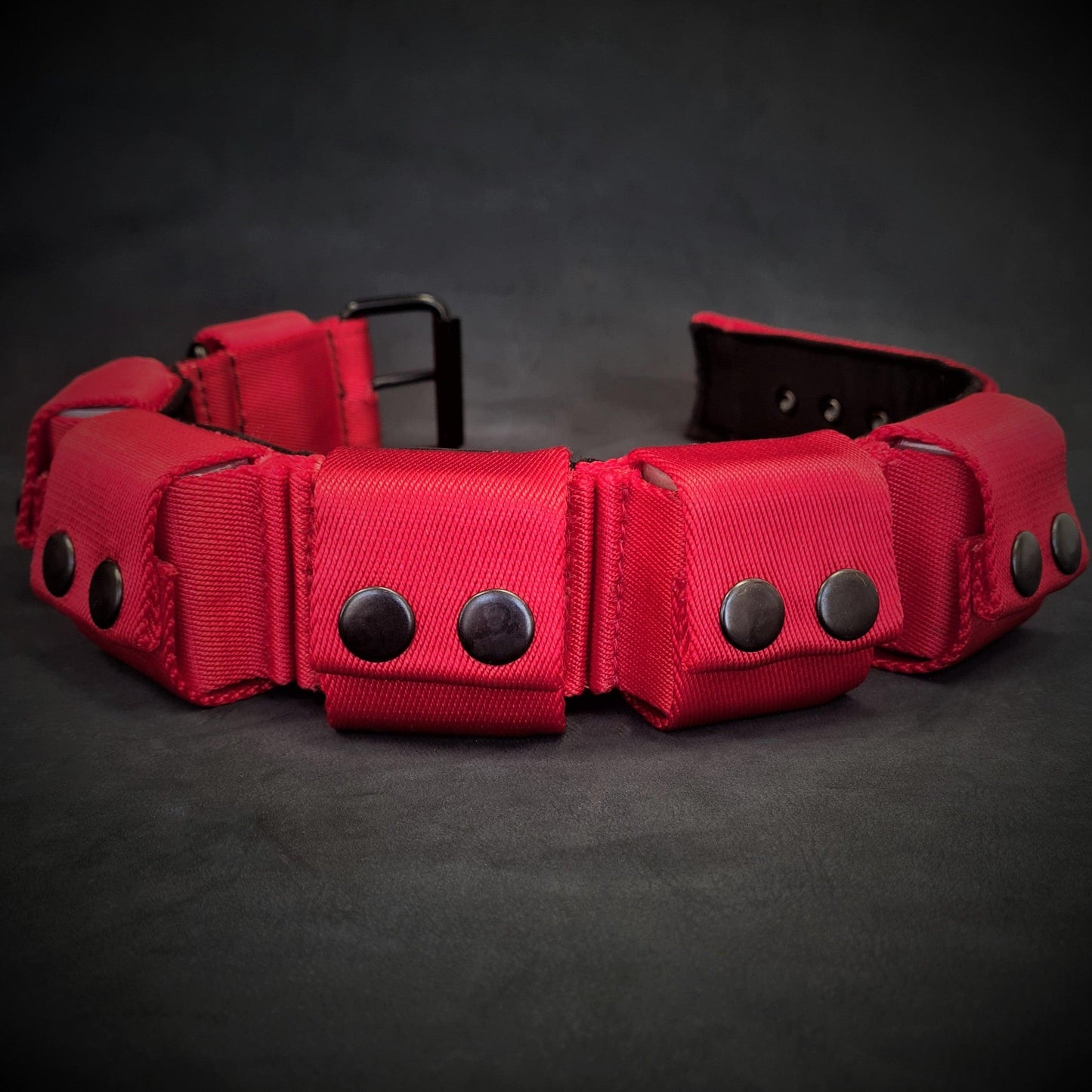 Red dog collar with black buttons on a dark background